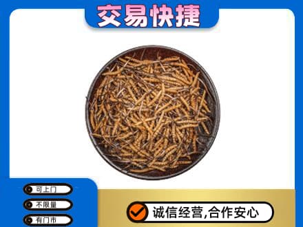 湘潭市韶山高价回收散虫草